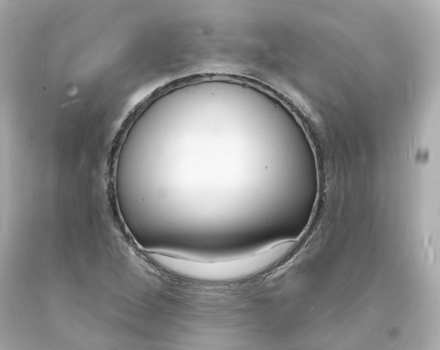 X0000093601264200710291136