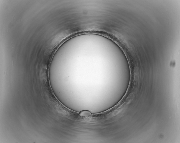 X0000093601265200710291136