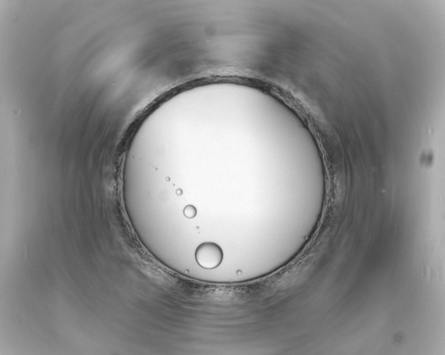 X0000093601266200710291136