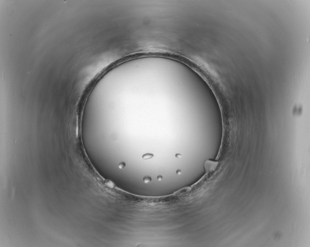 X0000093601269200710291136