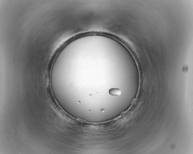 X0000093601271200710291136