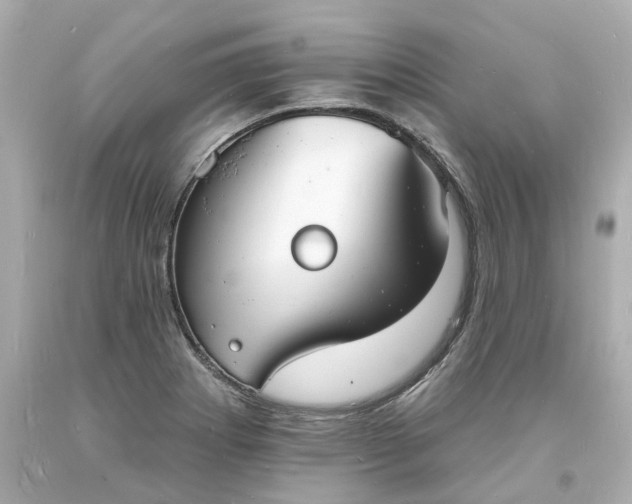 X0000093601273200710291136