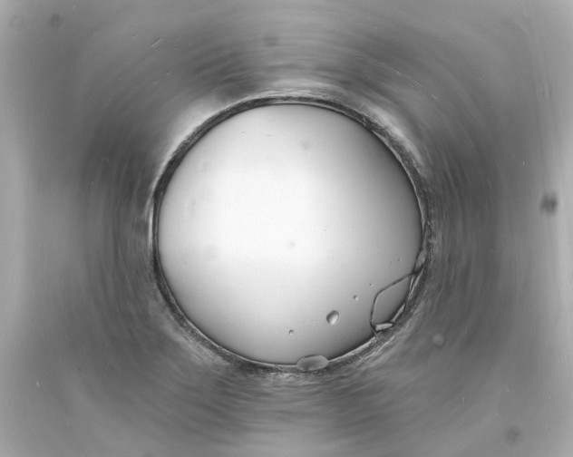 X0000093601275200710291136