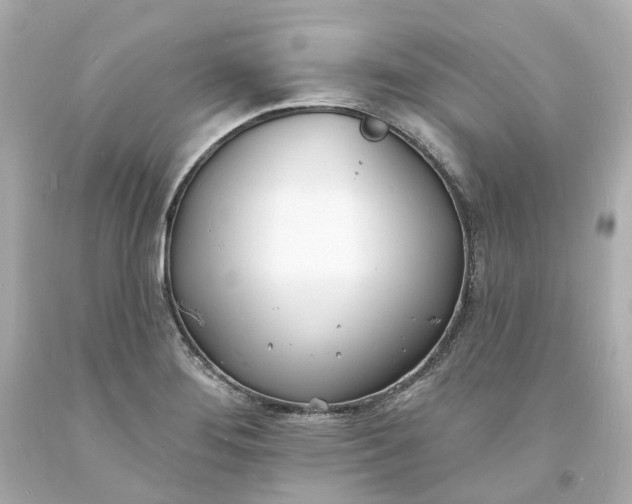 X0000093601276200710291136