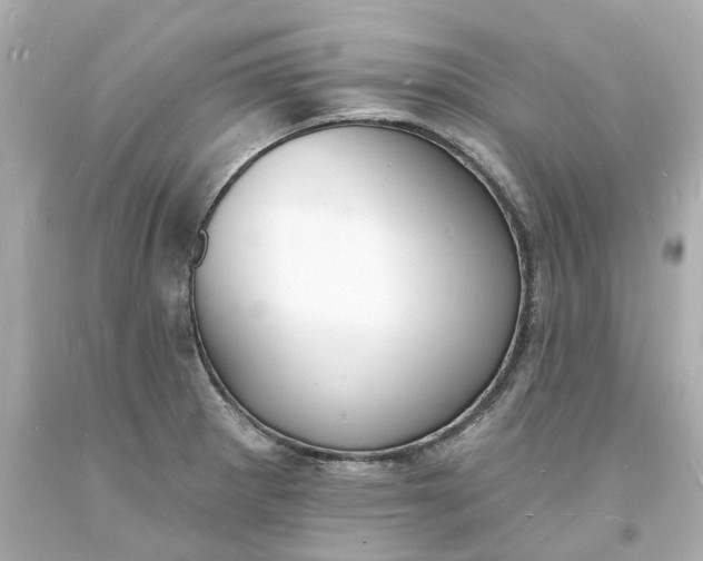 X0000093601281200710291136