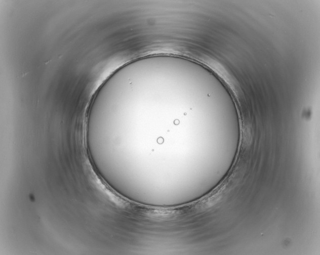 X0000093601290200710291136