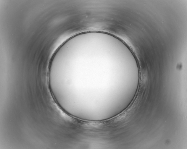 X0000093601294200710291136