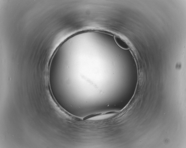 X0000093601295200710291136