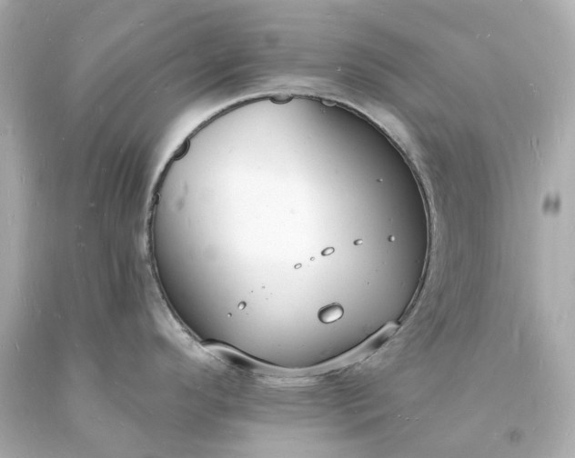 X0000093601296200710291136