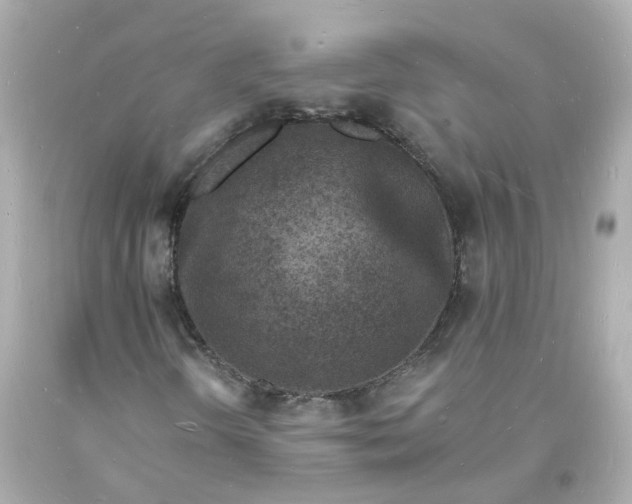 X0000093601298200710291135