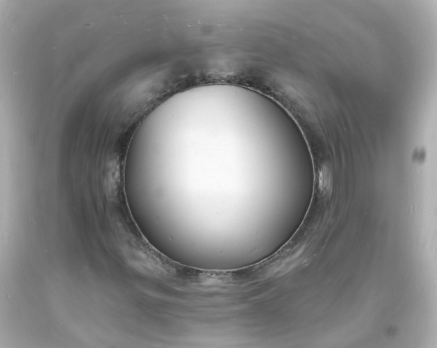 X0000093601299200710291135