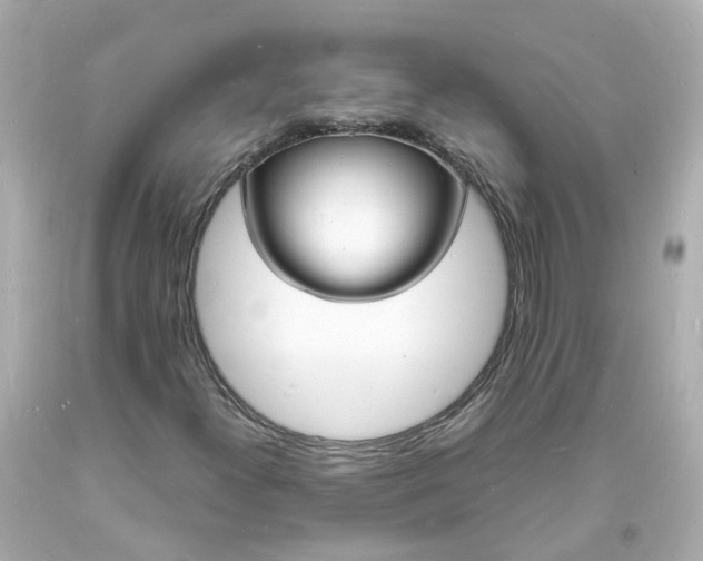 X0000093601300200710291135