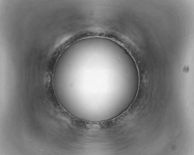 X0000093601302200710291135