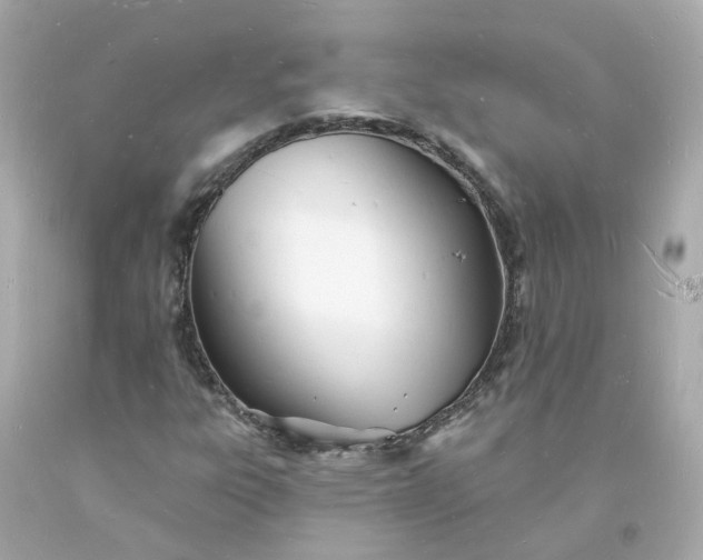 X0000093601303200710291135