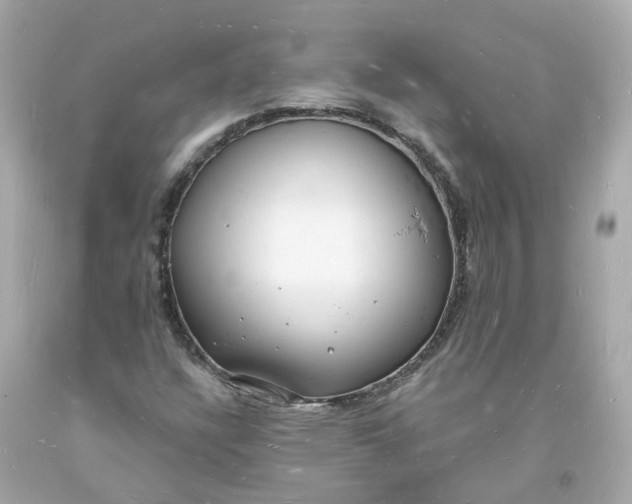 X0000093601304200710291135