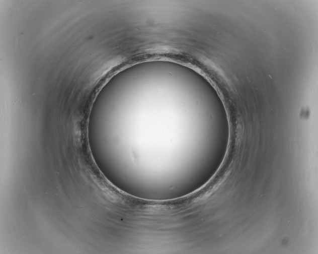 X0000093601305200710291135