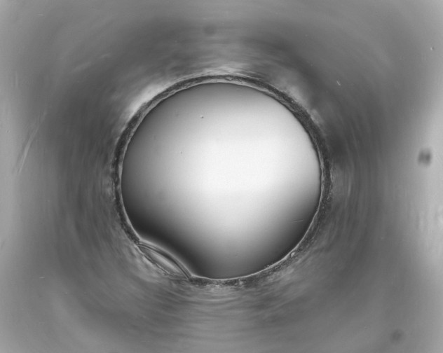 X0000093601308200710291135