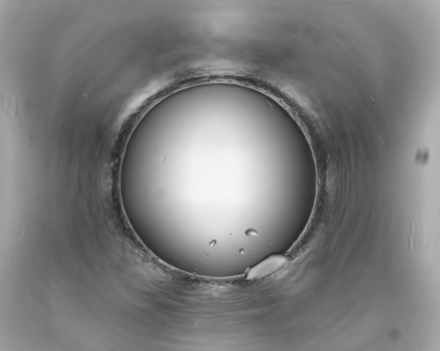 X0000093601309200710291135