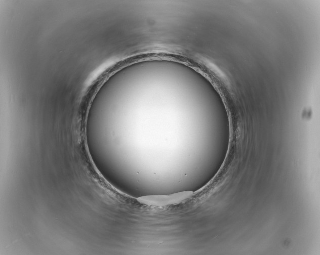 X0000093601310200710291135