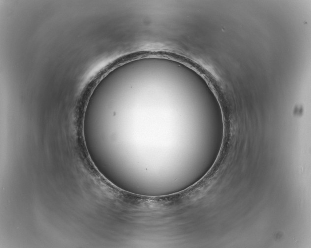 X0000093601311200710291135