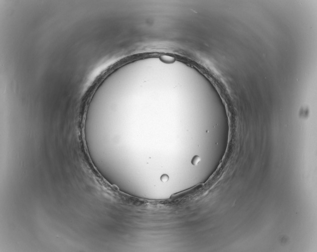 X0000093601312200710291135