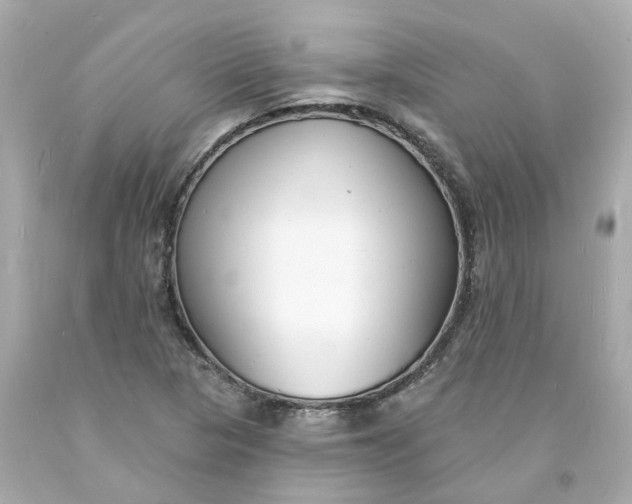 X0000093601313200710291135