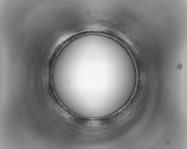 X0000093601315200710291135