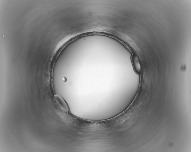 X0000093601316200710291135