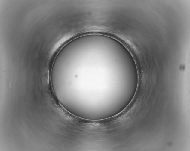 X0000093601317200710291135