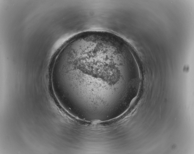 X0000093601319200710291135