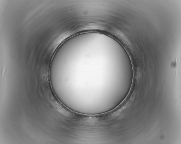 X0000093601321200710291135