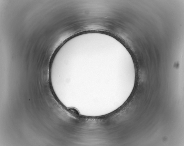 X0000093601322200710291135