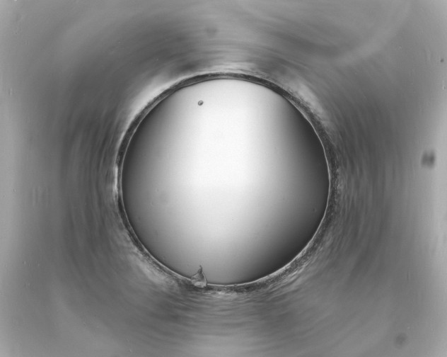 X0000093601324200710291135