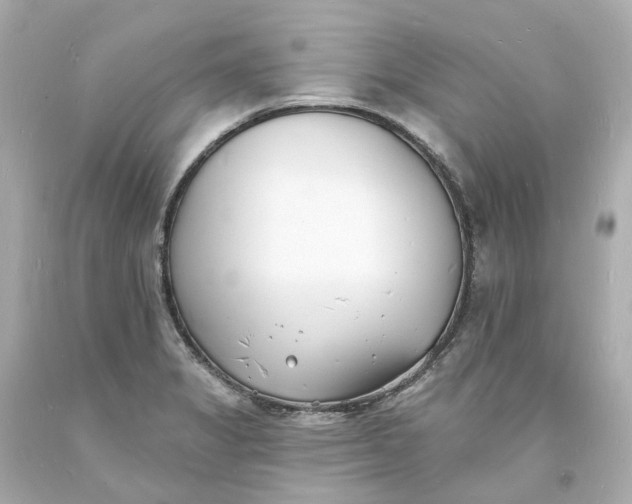 X0000093601325200710291135