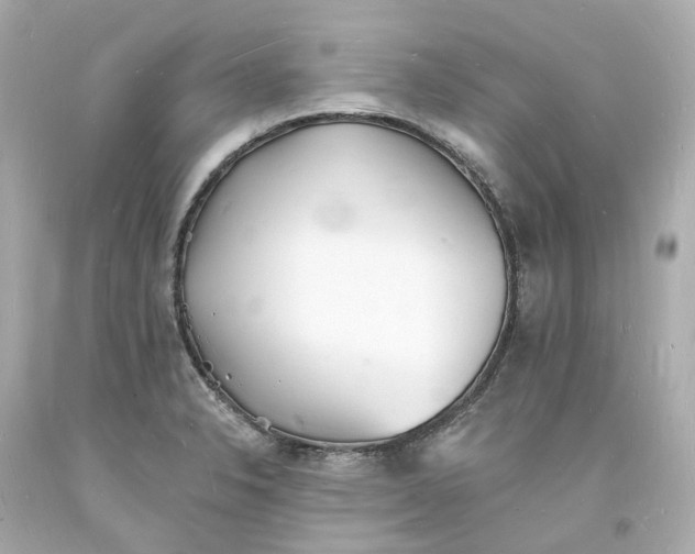 X0000093601326200710291135