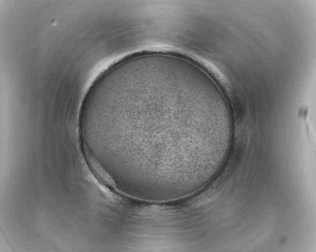 X0000093601327200710291135