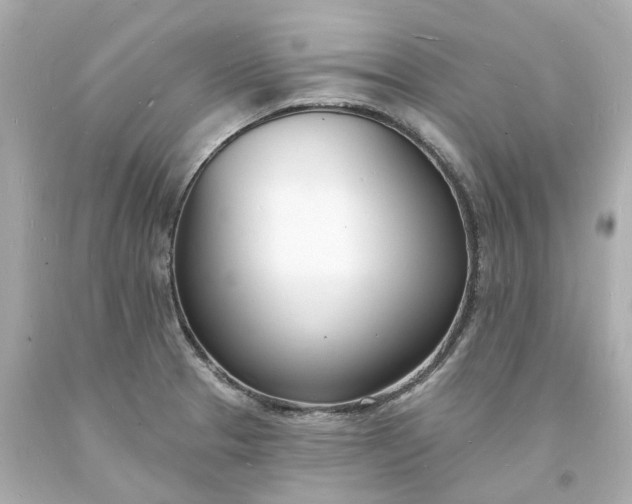 X0000093601329200710291136