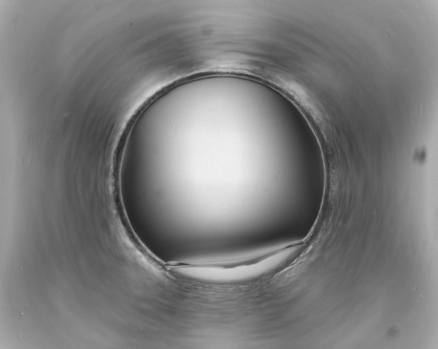 X0000093601331200710291136