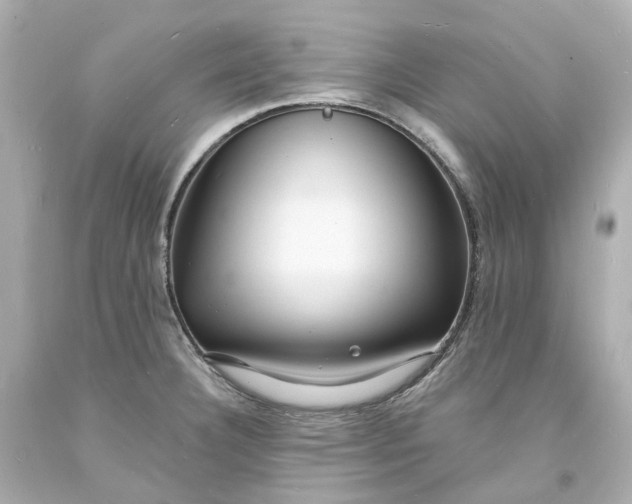 X0000093601332200710291136