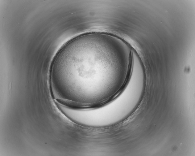 X0000093601334200710291136