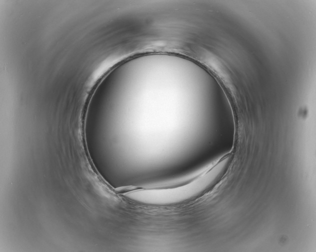 X0000093601336200710291136