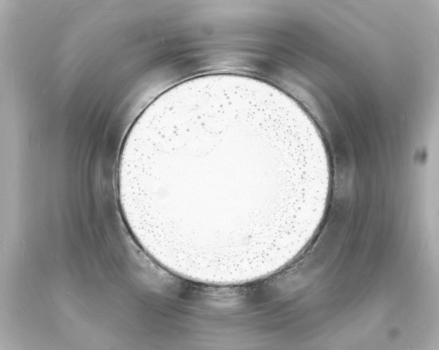 X0000093601338200710291136