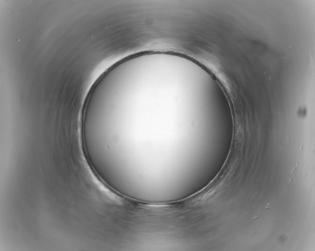 X0000093601343200710291136