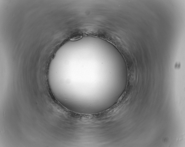 X0000093601345200710291135