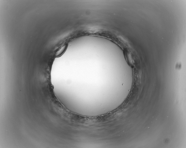 X0000093601349200710291135