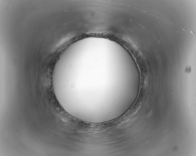 X0000093601350200710291135