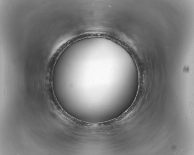 X0000093601352200710291135