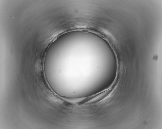 X0000093601353200710291135