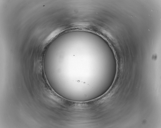 X0000093601354200710291135