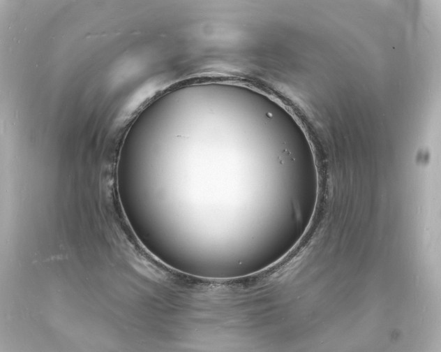 X0000093601355200710291135